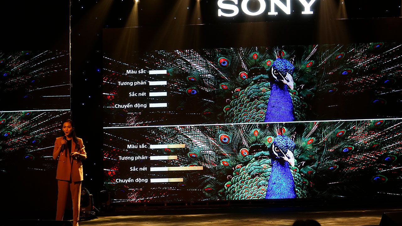Sony Việt Nam ra mắt thế hệ TV BRAVIA XR mới, TV có trí tuệ nhận thức - DSC1333