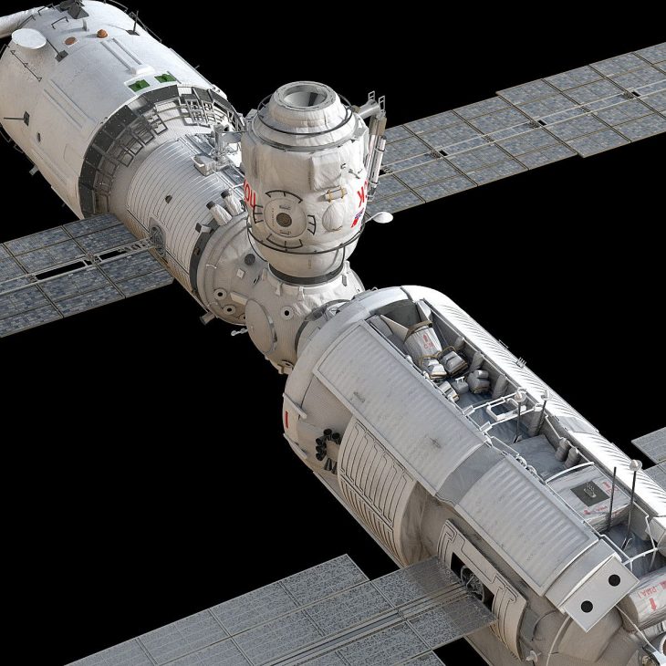Những con mực đáng yêu đầu tiên sẽ lên Trạm Vũ trụ Quốc tế ISS - nasa 2 1