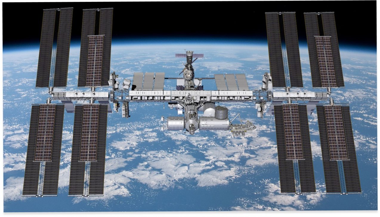 Những con mực đáng yêu đầu tiên sẽ lên Trạm Vũ trụ Quốc tế ISS - nasa 4