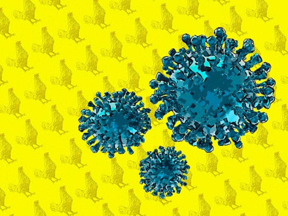 Trung Quốc công bố ca bệnh cúm gia cầm H10N3 đầu tiên ở người và lời cảnh tỉnh từ WHO - H10N3 1