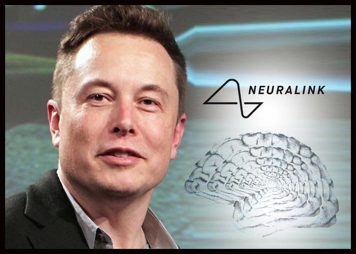 Ông trùm công nghệ Elon Musk: Loài người sẽ được cấy chip não Neuralink vào năm tới - Elon Musk