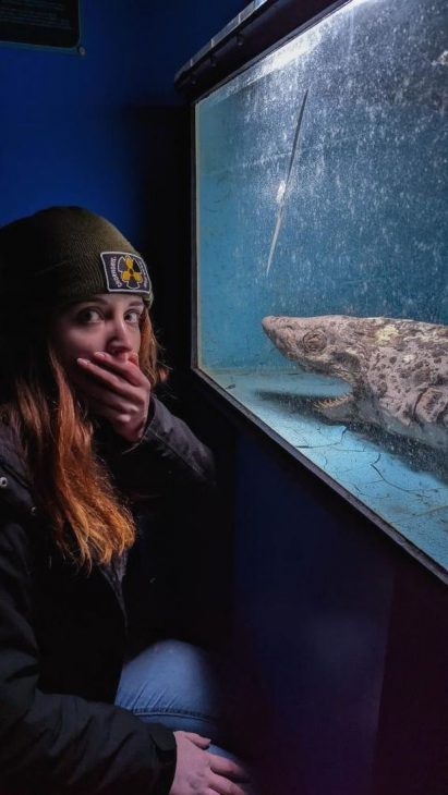 Xác thối cá mập đáng sợ được phát hiện bên trong thủy cung bỏ hoang - thuy cung 1