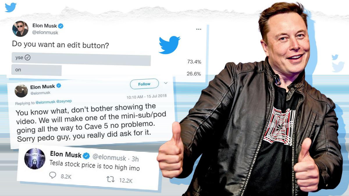 Elon Musk và Twitter: cặp đôi hoàn hảo hay thảm họa? - Elon Musk