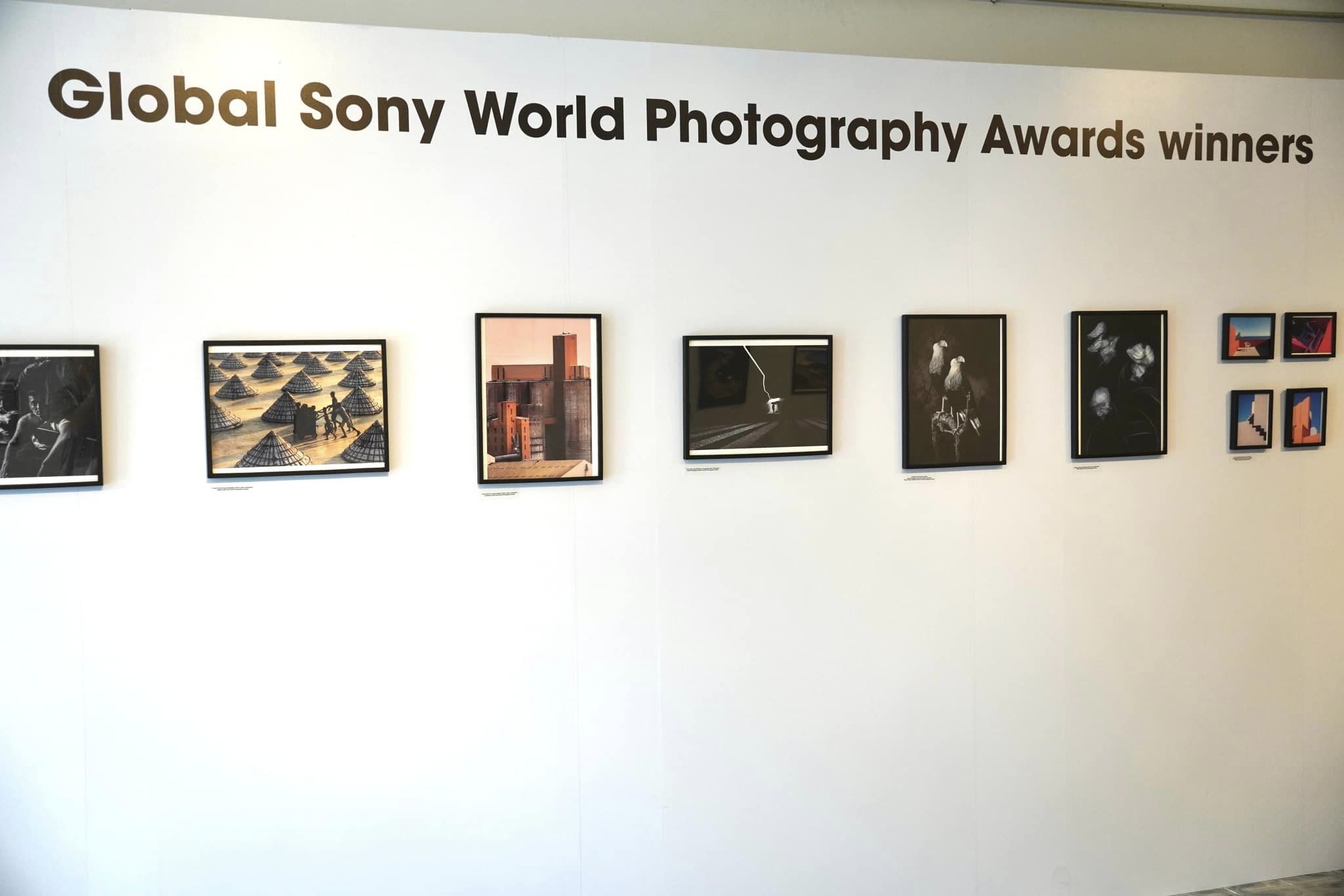 Cơ hội ngắm những bức ảnh xuất sắc tại Giải thưởng Nhiếp ảnh Thế giới Sony tại Bảo tàng Mỹ thuật TPHCM - sony 3