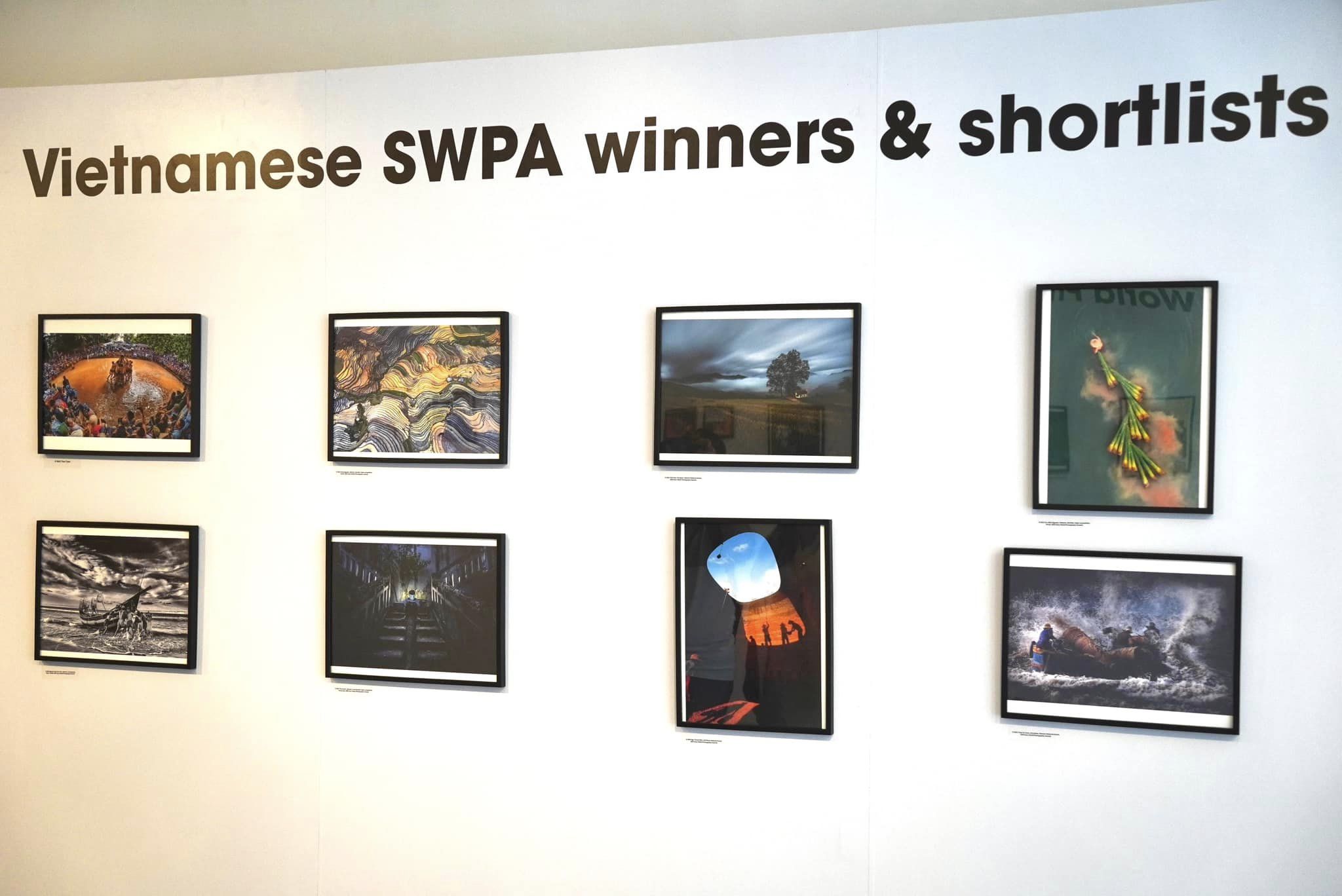 Cơ hội ngắm những bức ảnh xuất sắc tại Giải thưởng Nhiếp ảnh Thế giới Sony tại Bảo tàng Mỹ thuật TPHCM - sony 4