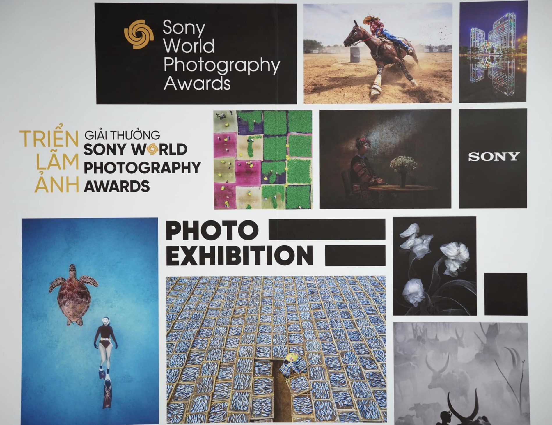 Cơ hội ngắm những bức ảnh xuất sắc tại Giải thưởng Nhiếp ảnh Thế giới Sony tại Bảo tàng Mỹ thuật TPHCM - sony 8
