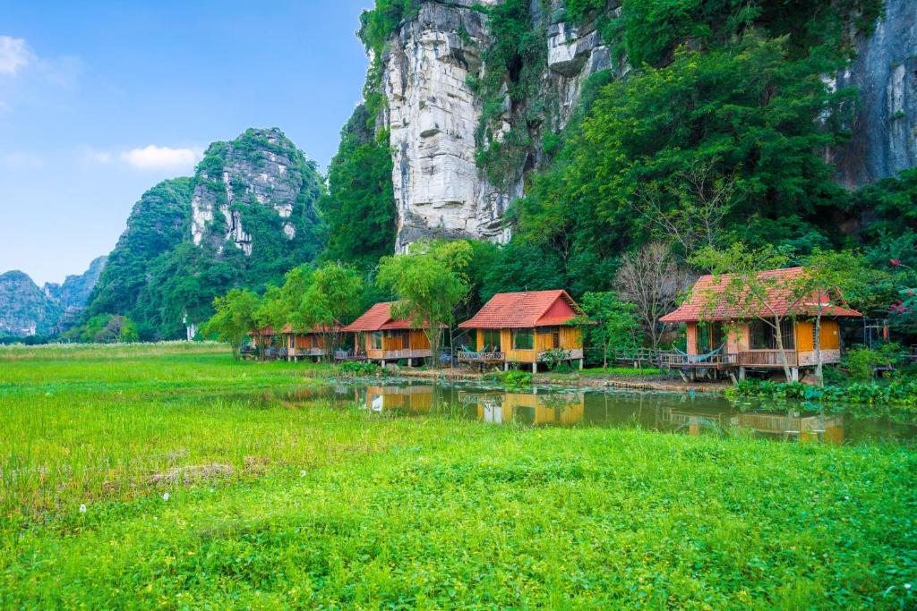 Nhiều người trẻ Việt đi du lịch chữa lành thất tình và tìm tình yêu mới - Ninh Binh 1