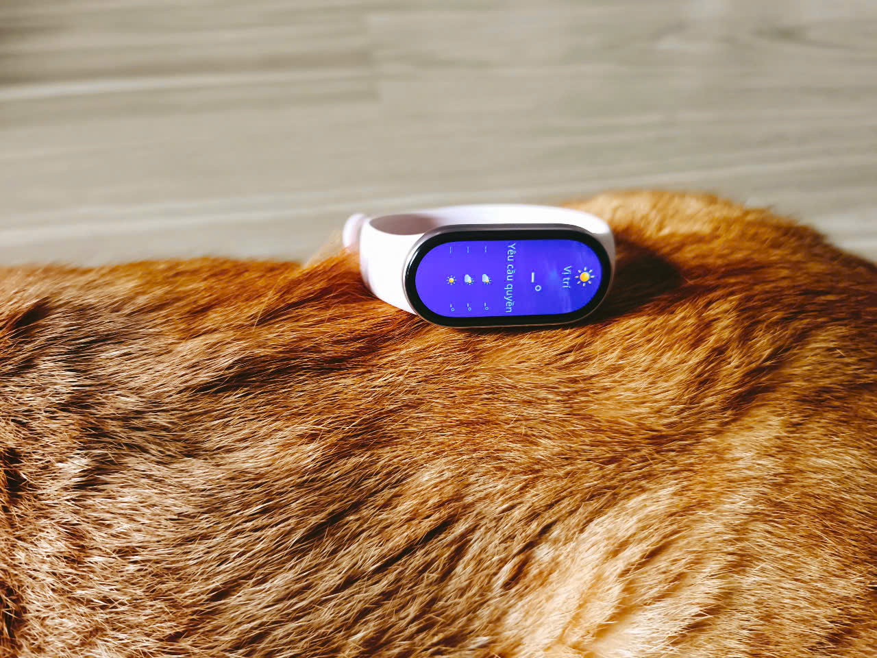 Xiaomi Smart Band 10: Vòng đeo tay xinh xắn, đa tính năng, màn hình sáng, pin 21 ngày, giá tốt - z6797585467104 c5f1eefa9d2a0a8441b7457b0fba6f21