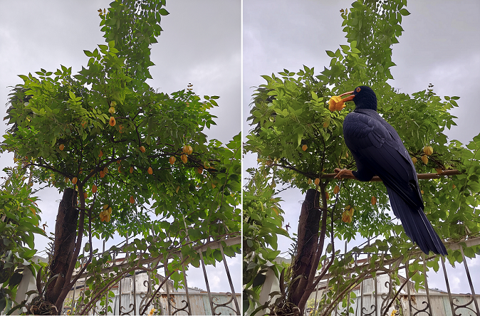 Trải nghiệm realme 15 Pro, pin ‘cực trâu’, độ mỏng ấn tượng và AI Edit Genie hiệu quả 4 Trải nghiệm realme 15 Pro, pin ‘cực trâu’, độ mỏng ấn tượng và AI Edit Genie hiệu quả - 56