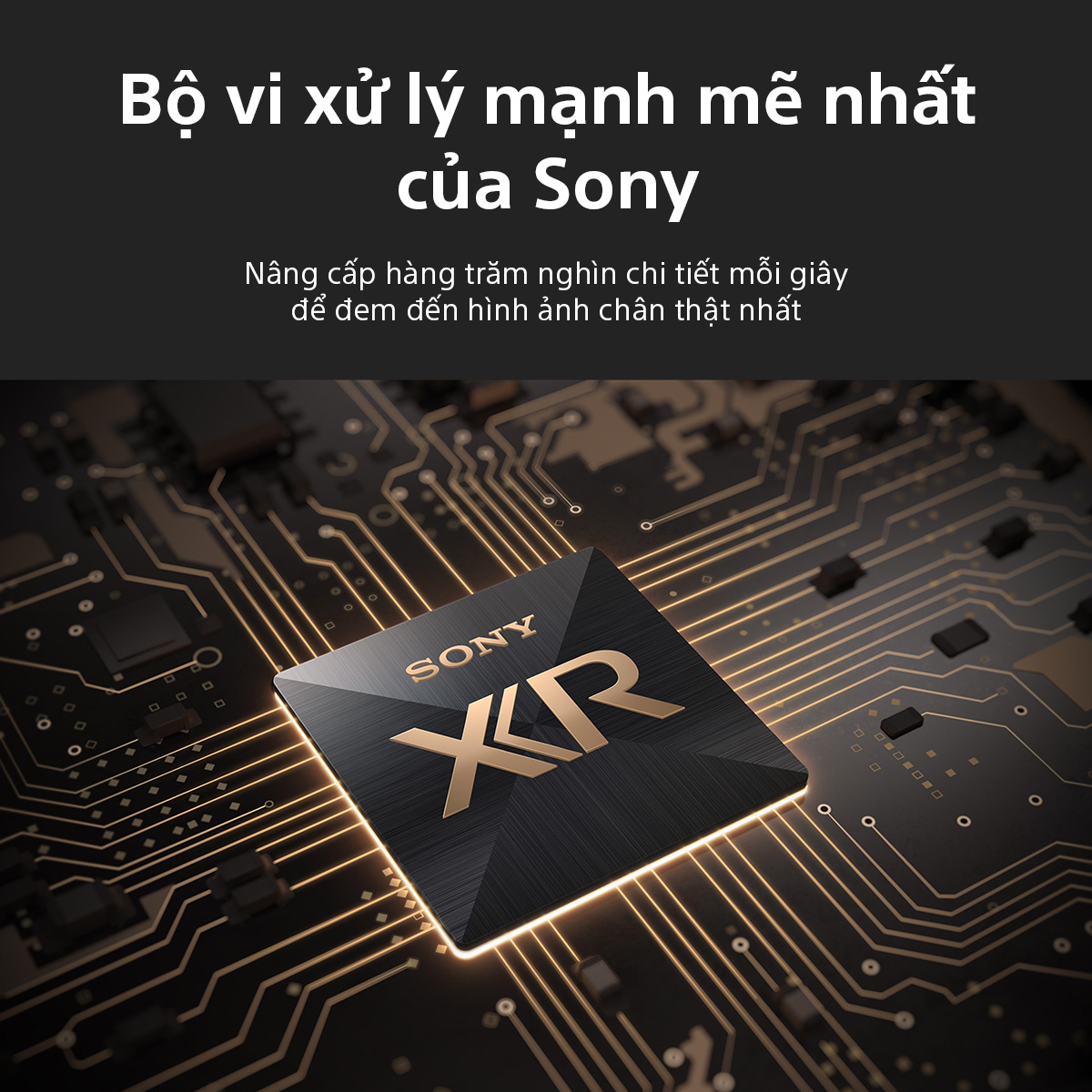 King of TV 2025 là Sony QD-OLED BRAVIA 8 II, Sony giữ ngôi 7 năm - 8II Bo Vi xu ly XR Processor