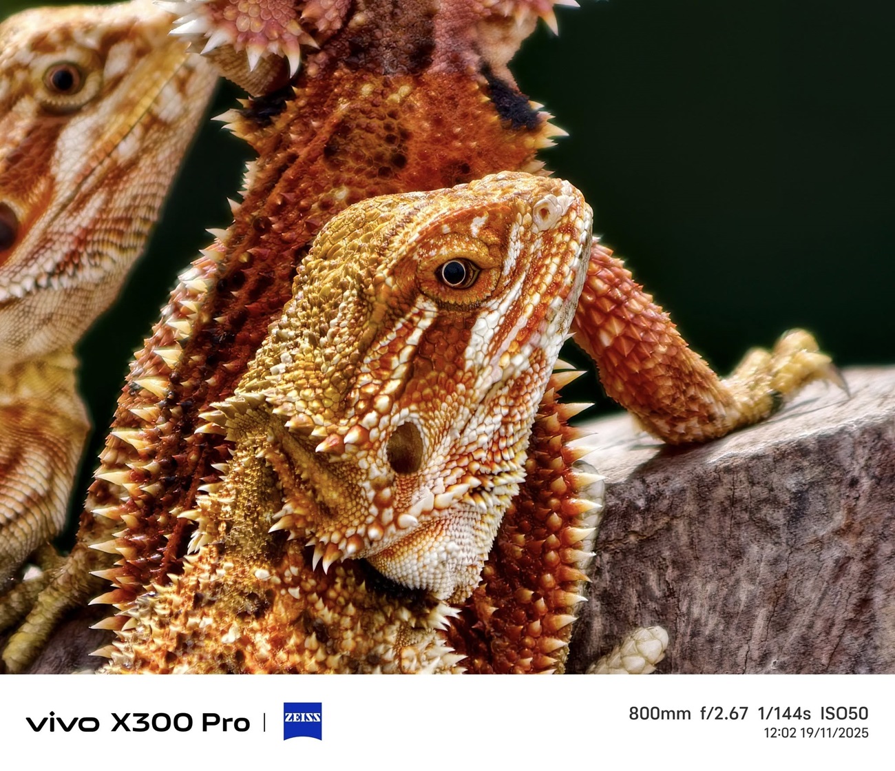 vivo X300 series - Vua tele chính thức ra mắt chinh phục nhiếp ảnh gia di động tại Việt Nam - 585292525 122143545644941219 3440351720589280790 n