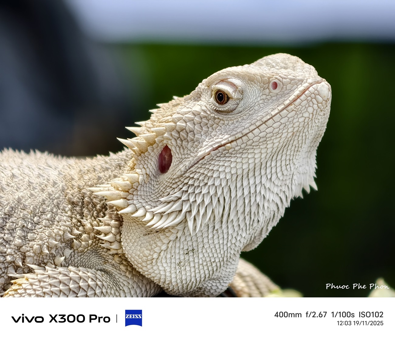 vivo X300 series - Vua tele chính thức ra mắt chinh phục nhiếp ảnh gia di động tại Việt Nam - 585427643 122143587650941219 6587965570358088814 n