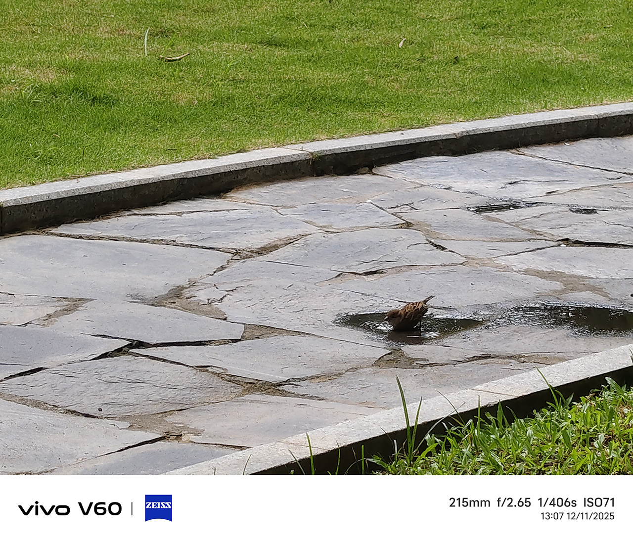 vivo V60 5G: Pin "trâu" trong thân máy mảnh mai, camera ấn tượng, thoải mái giải trí, sáng tạo nội dung số - IMG 20251112 130728