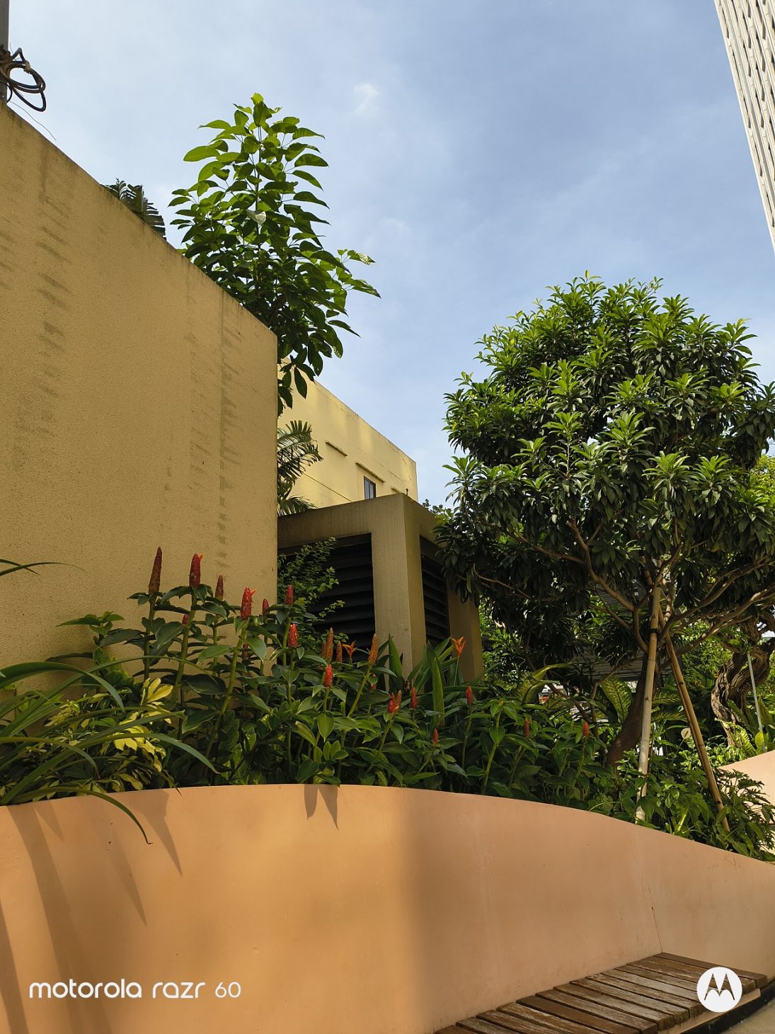 Motorola Razr 60 – Hào quang quá khứ tỏa về hôm nay - IMG 20251127 115618102 HDR