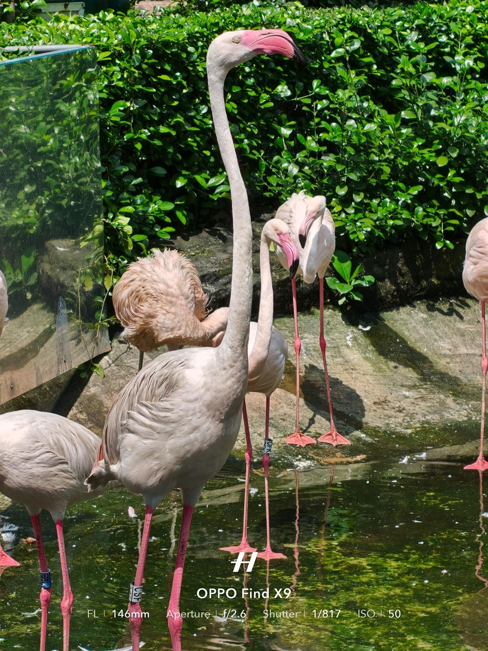 Quyến rũ, mạnh mẽ, bộ AI hoàn toàn mới - OPPO Find X9 sẵn sàng đối đầu trực diện với đối thủ phân khúc cao cấp - Op18