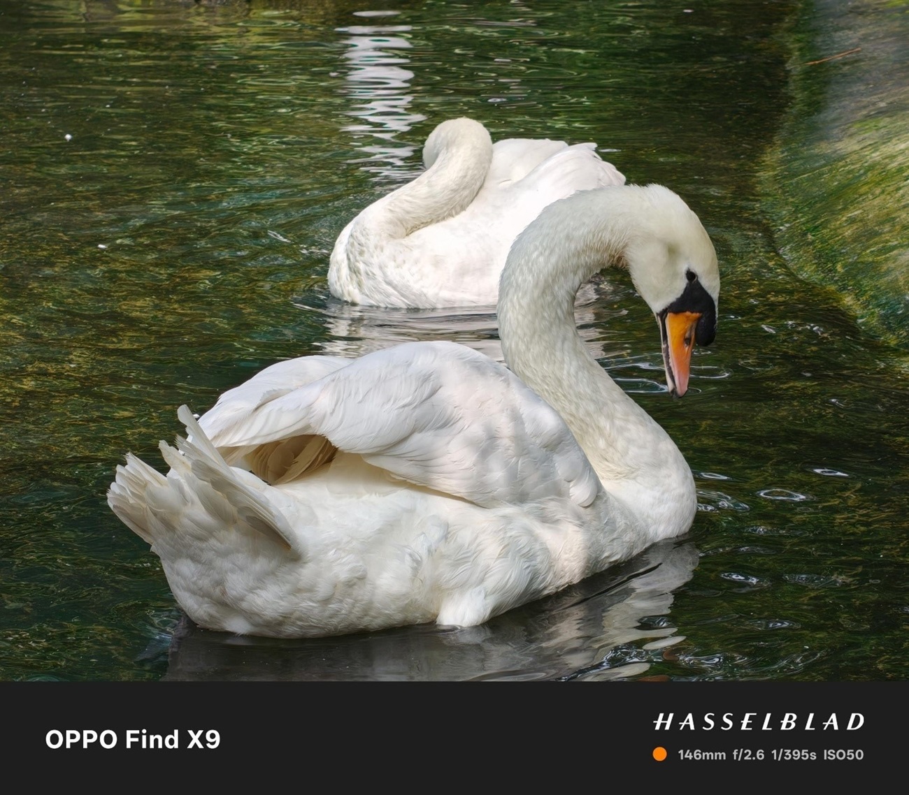 Quyến rũ, mạnh mẽ, bộ AI hoàn toàn mới - OPPO Find X9 sẵn sàng đối đầu trực diện với đối thủ phân khúc cao cấp - op17