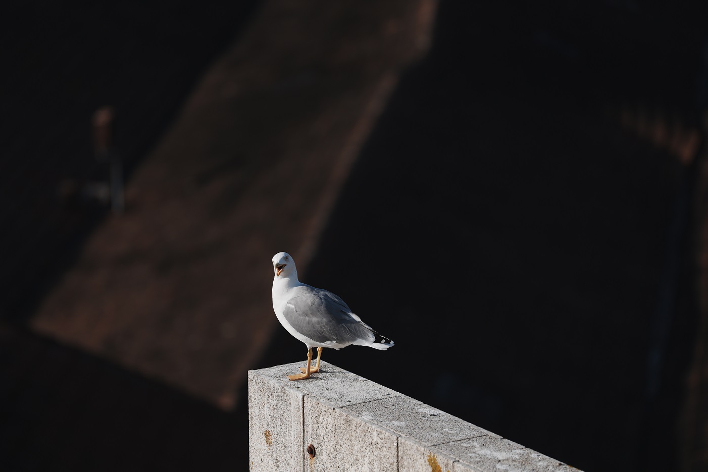 Sony Alpha 7 V, máy ảnh chuẩn Hybrid Full-frame, tích hợp AI, ra mắt với giá thân máy là 69,99 triệu đồng - 6