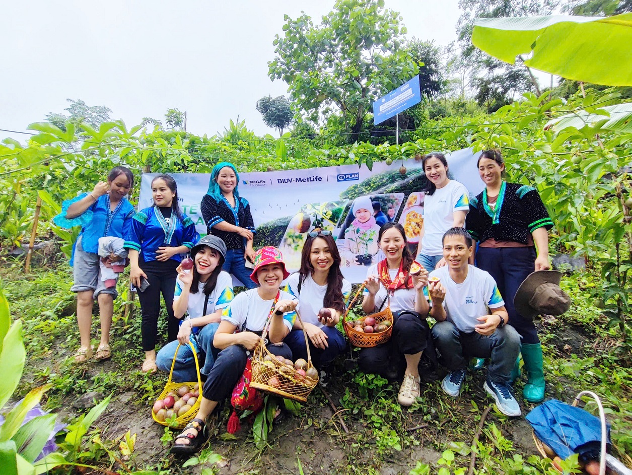 BIDV MetLife được AmCham CSR Awards vinh danh “Doanh nghiệp có Trách nhiệm với Xã hội” lần thứ 10 liên tiếp - BIDV MetLife cùng Plan International ghi dấu thành quả dự án nông nghiệp bền vững tại Lai Châu