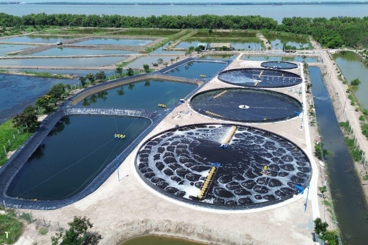 Đặc điểm nhận diện Chuyển đổi số, không nhầm lẫn với Tin học hóa - CDSS1