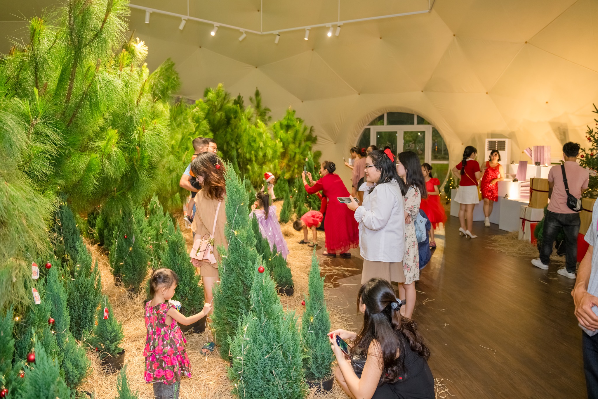 LumiFesti Saigon 2025 – Tưng bừng hoạt động Giáng Sinh miễn phí tại Dinh Độc Lập   - Gioi tre thich thu trai nghiem vuon thong that tai Merry Brew Festi 2024