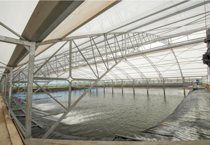 Đặc điểm nhận diện Chuyển đổi số, không nhầm lẫn với Tin học hóa - cdss2