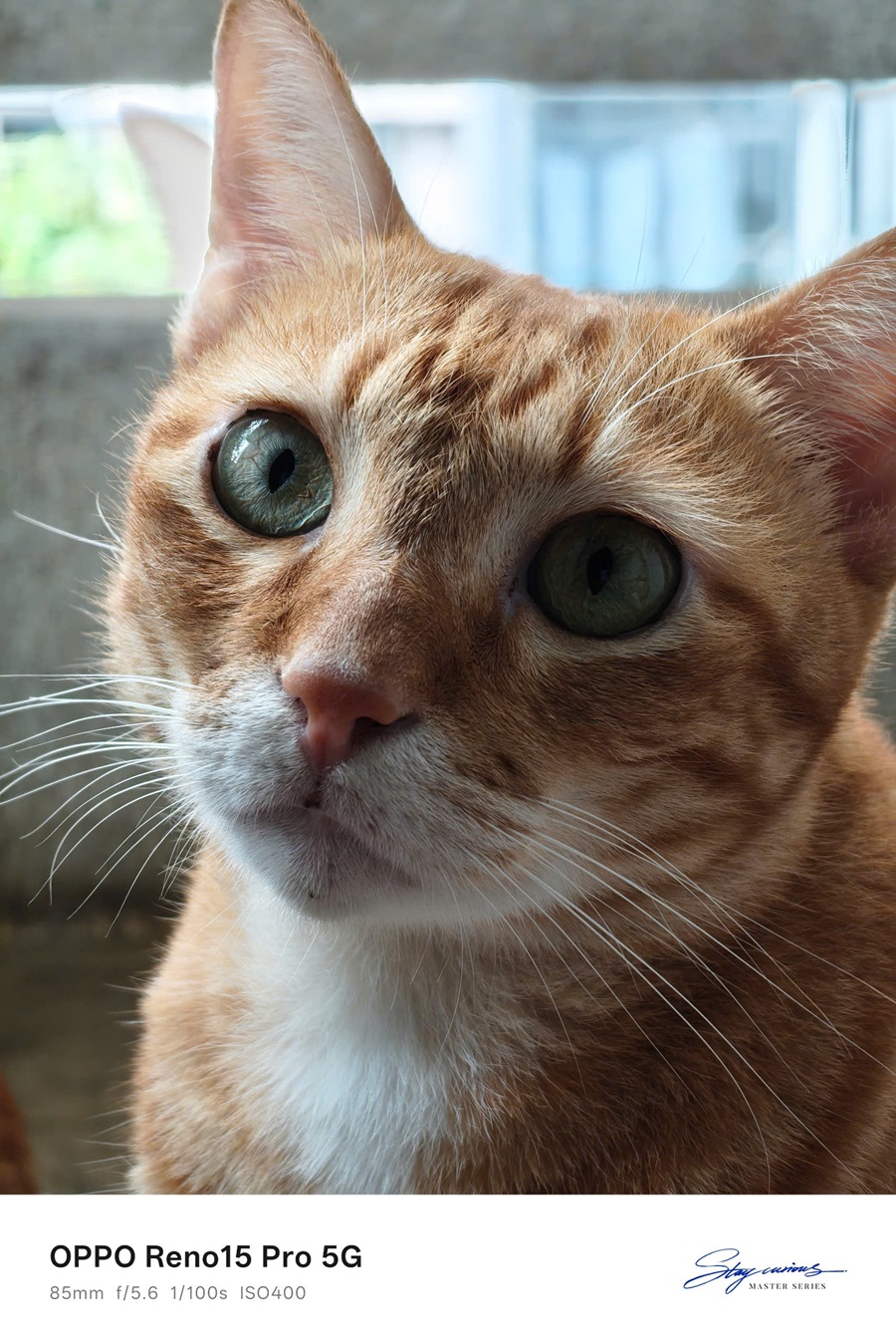 Khui hộp sớm bộ đôi OPPO Reno15 và Reno15 Pro, bất ngờ với thiết kế "Mưa Sao Băng" - z7377132062525 a27fa1d83096b98fe9727af8c7877bf7