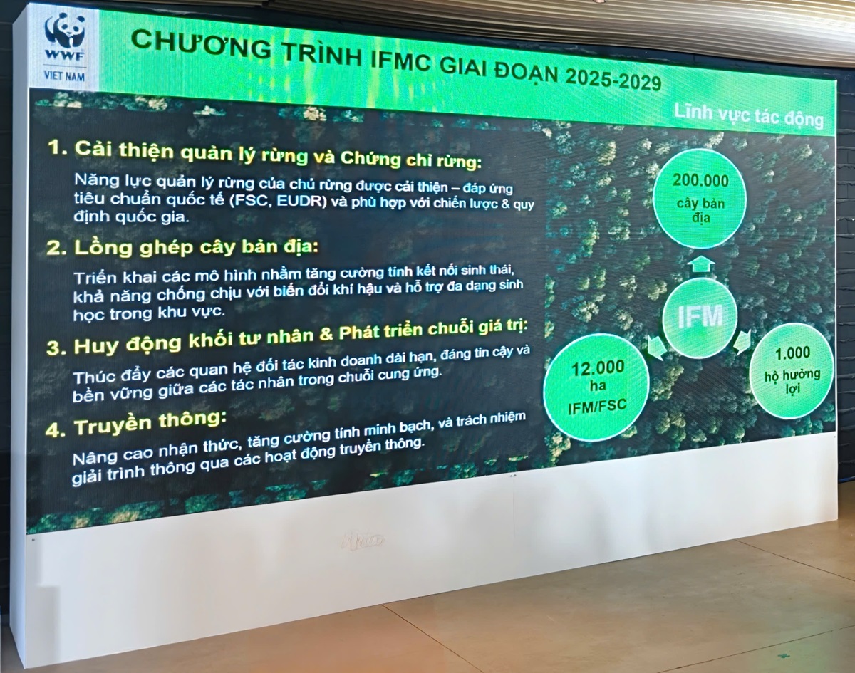HP thông báo hợp tác chiến lược phát triển bền vững với WWF, phục hồi và bảo tồn 12.000 ha rừng tại Huế và Quảng Trị - z7450103539446 23f6f22c81c8c5e0599cd1d8a3c06c81