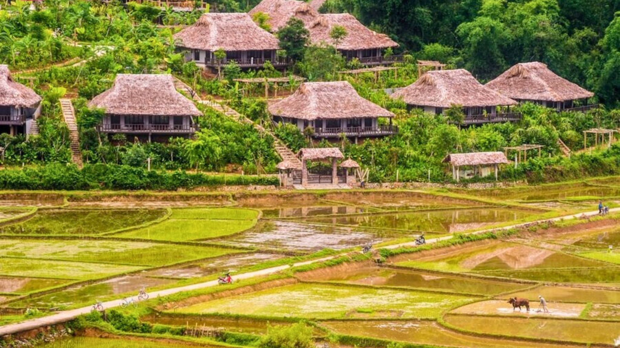 Hội An là điểm đến hiếu khách nhất Việt Nam, cùng nhiều địa danh bất ngờ khác 1 Hội An là điểm đến hiếu khách nhất Việt Nam, cùng nhiều địa danh bất ngờ khác - Mai Chau