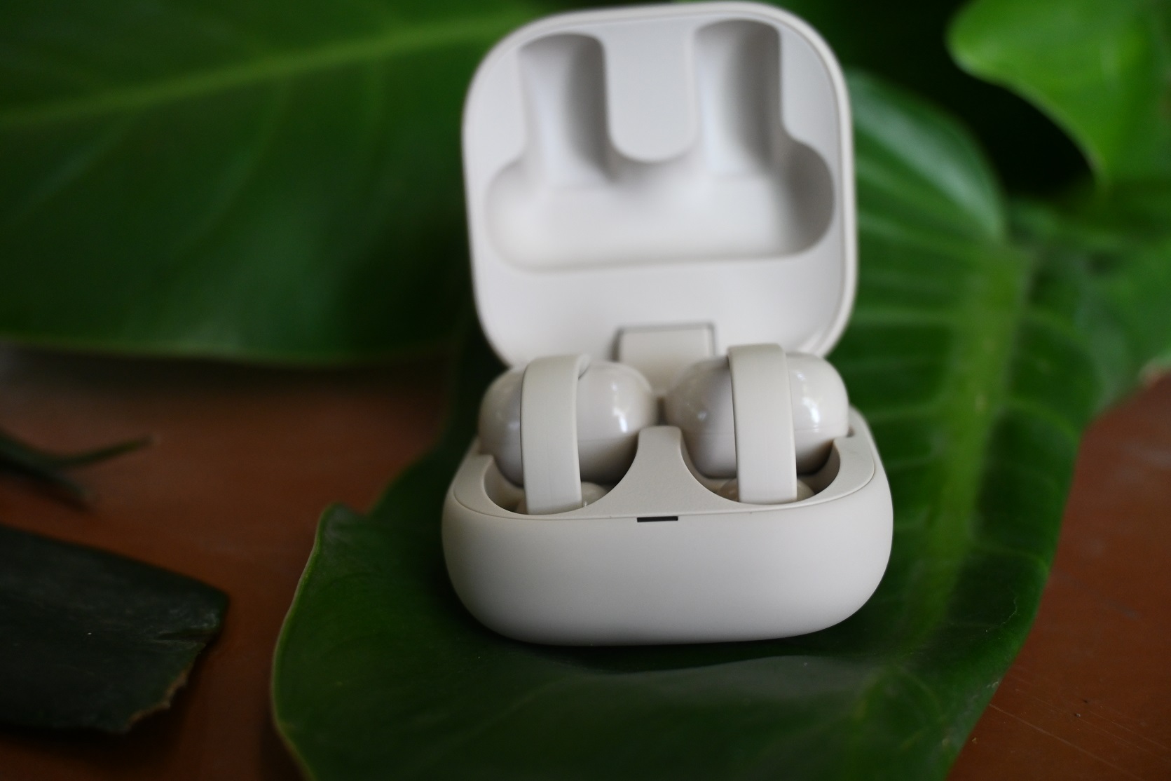 Sony Clip WF-LC900, chiếc hoa tai công nghệ kỳ diệu 4 Sony Clip WF-LC900, chiếc hoa tai công nghệ kỳ diệu - DSC 5993