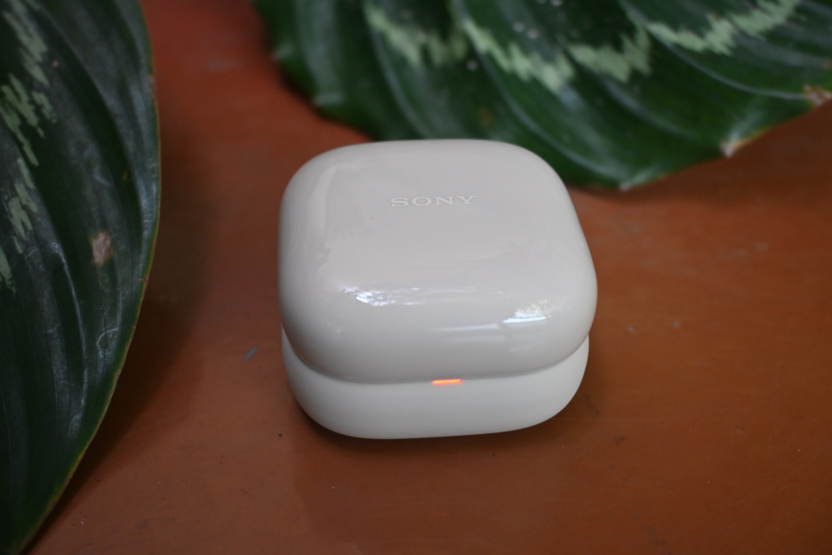 Sony Clip WF-LC900, chiếc hoa tai công nghệ kỳ diệu 5 Sony Clip WF-LC900, chiếc hoa tai công nghệ kỳ diệu - DSC 5999