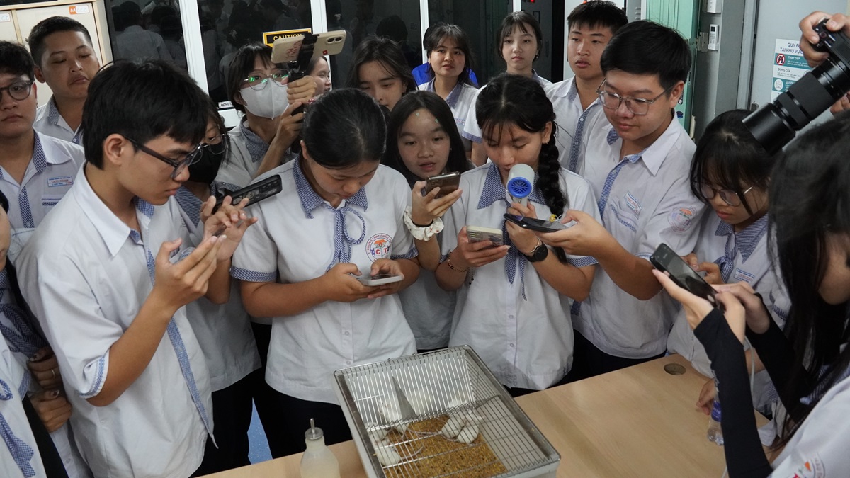 TP.HCM khởi động hành trình "Khám phá Phòng thí nghiệm Mở", tăng tương tác và trải nghiệm thực hành cho HS-SV 5 TP.HCM khởi động hành trình "Khám phá Phòng thí nghiệm Mở", tăng tương tác và trải nghiệm thực hành cho HS-SV - DSC02960