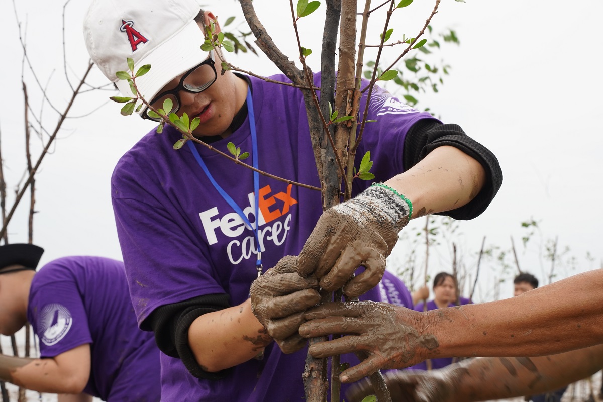 FedEx trồng cây và phục hồi rừng ngập mặn, thúc đẩy ứng phó biến đổi khí hậu tại Việt Nam 1 FedEx trồng cây và phục hồi rừng ngập mặn, thúc đẩy ứng phó biến đổi khí hậu tại Việt Nam - Hoat dong trong rung ngap man 1