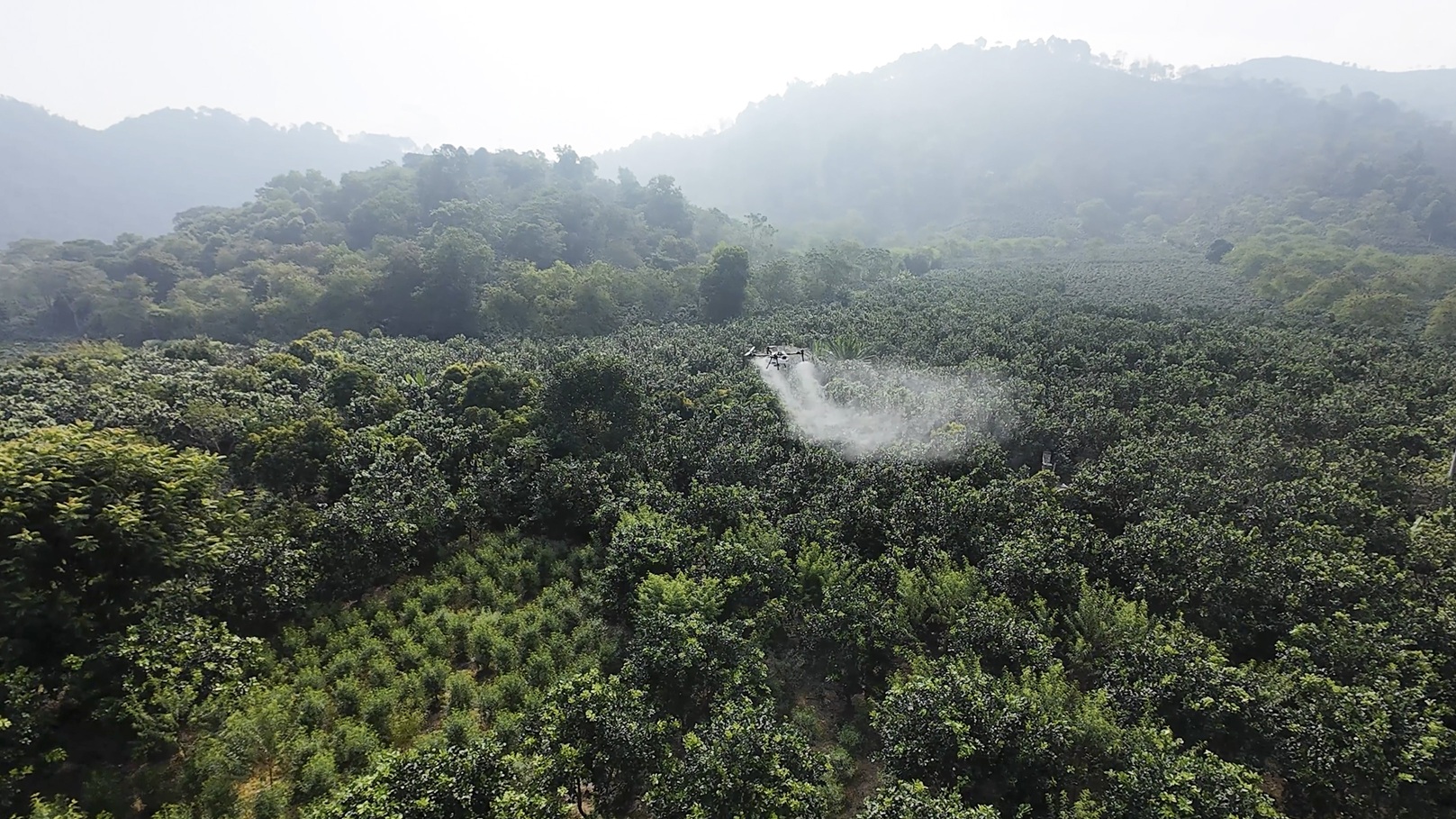 FPT Shop và tỉnh Điện Biên hợp tác triển khai mô hình UAV, hỗ trợ nông dân hướng đến canh tác hiện đại - 5 4